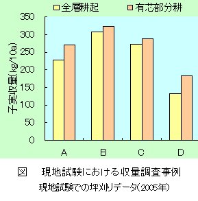 収量比較グラフ