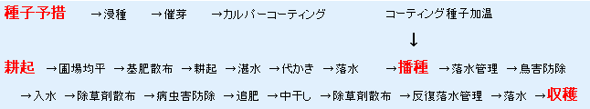 湛水直播体系の例画像