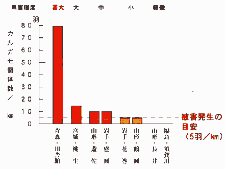 鳥害程度グラフ