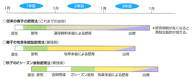 出荷スケジュール イメージ図