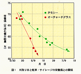 栄養価グラフ