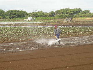 慣行の農薬散布イメージ写真