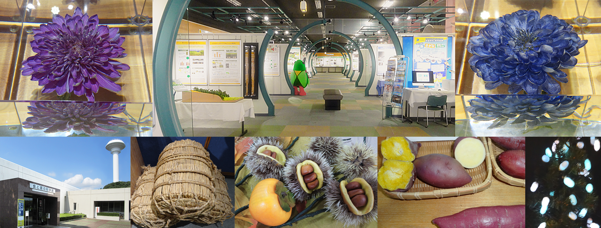 食と農の科学館の様子
