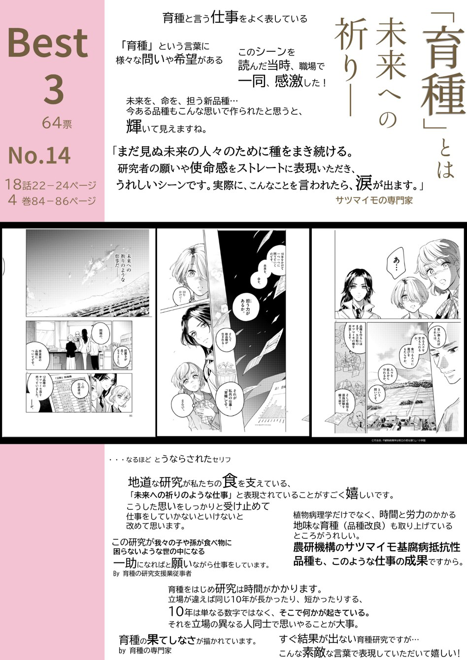 植物の君BEST3