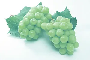 シャインマスカットの画像