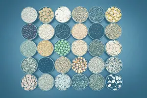 様々な種類の種子の画像