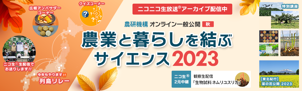 秋の一般公開2023